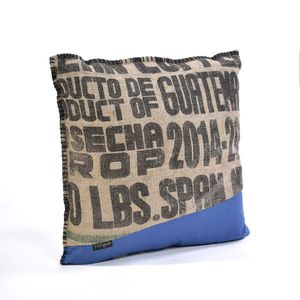 COUSSIN-BLEU2